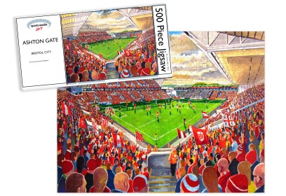 Bristol City FC Ashton Gate Stadium Fine Art Jigsaw Puzzle